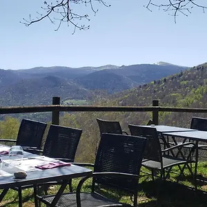 Les Myrtilles ** Le Bosc (Midi-Pyrenees)